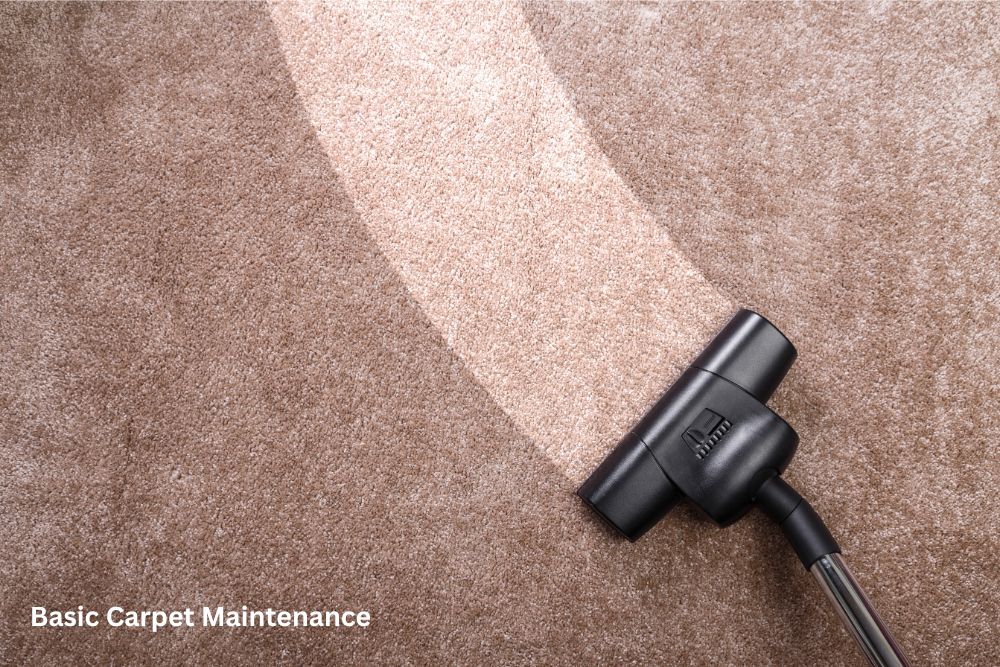 Carpet floor cleaning | Shoreline Flooring