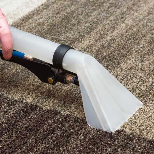 Carpet Cleaning | Shoreline Flooring