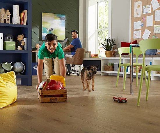 Safeguarding Floors from Pets | Shoreline Flooring