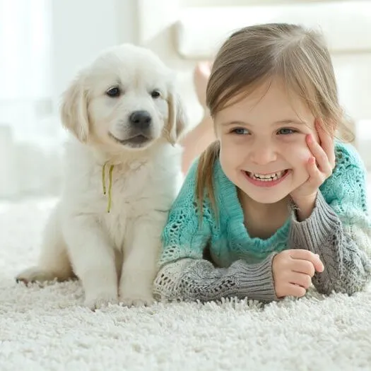 Kid and Dog Playing on Carpet Flooring | Shoreline Flooring